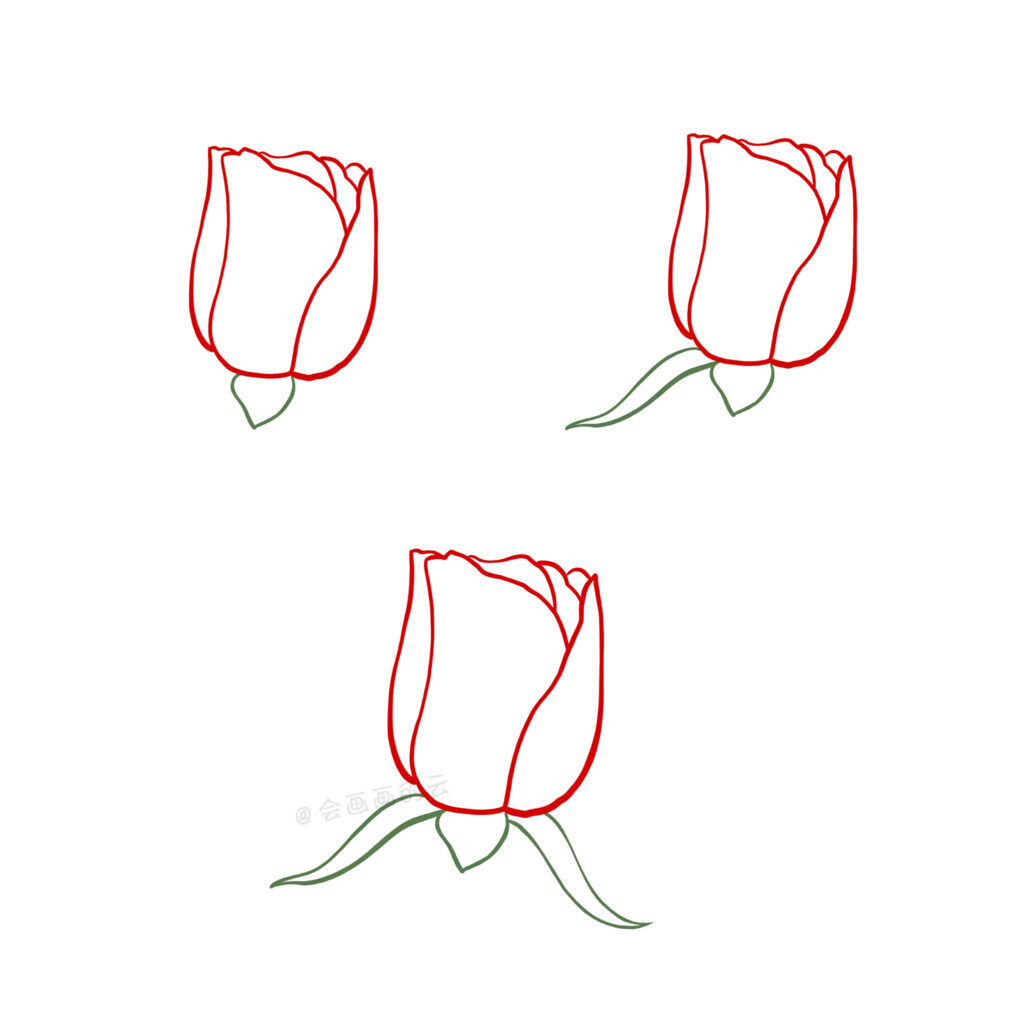 玫瑰花怎么画 _玫瑰花的绘画步骤
