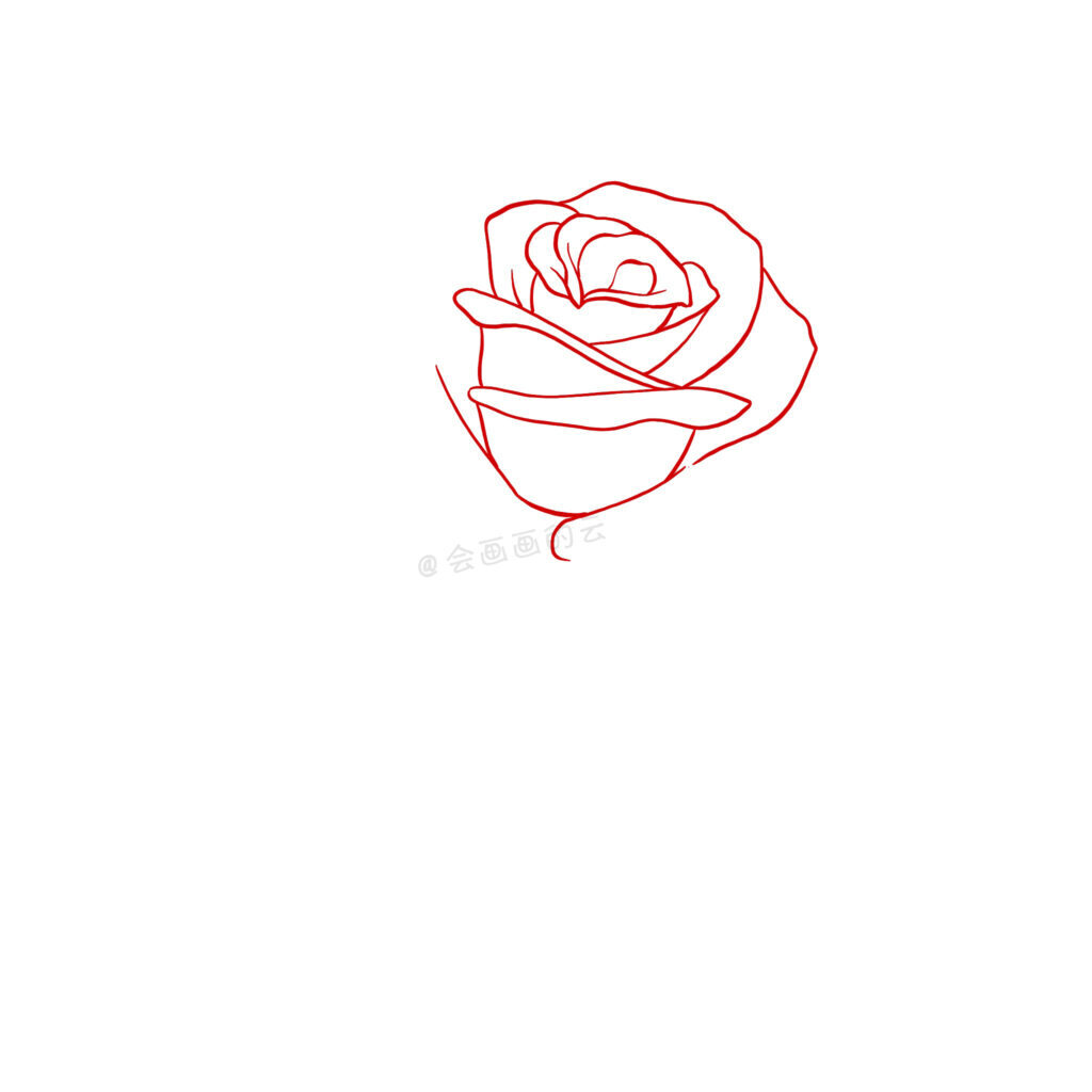 玫瑰花怎么画 _玫瑰花的绘画步骤