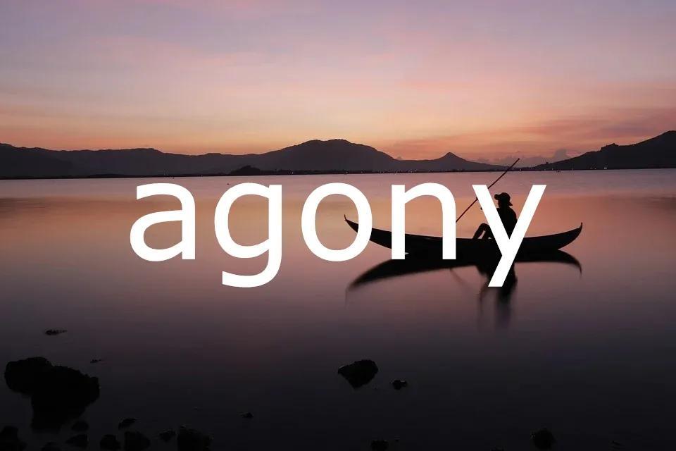 agony是什么意思_agony的基本释义