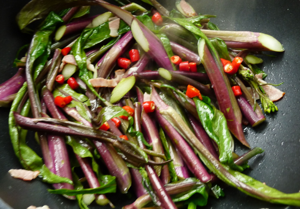 红菜苔是什么_红菜苔的特征及种植