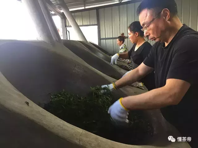 绿茶有哪些品种_绿茶的种类和划分