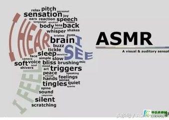asmr是什么_asmr的基本概念