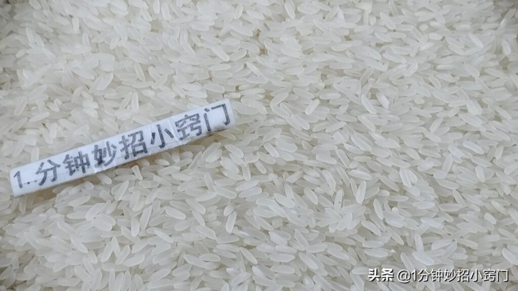 大米生虫了怎么办_大米生虫的解决方法