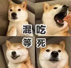 颐指气使是什么意思_颐指气使的成语含义