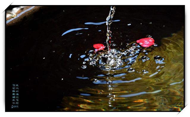 落花有意流水无情什么意思_落花有意流水无情的典故