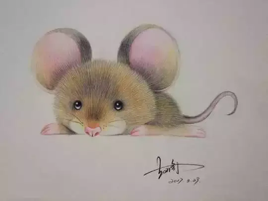 老鼠怎么画_老鼠的彩铅绘画步骤