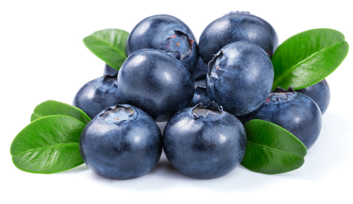 蓝莓怎么洗_蓝莓的清洗和保存方法