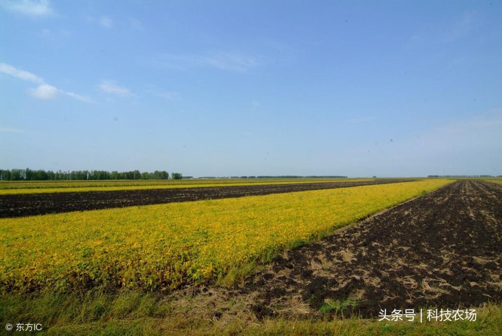 北大荒在哪_北大荒的基本介绍