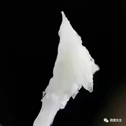 什么是燕盏_燕条和燕盏的区别