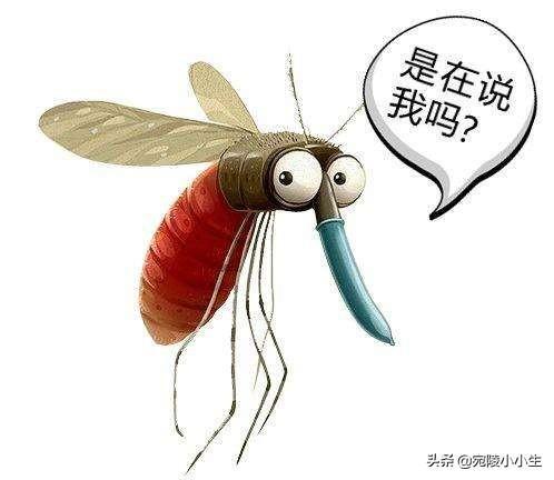 蚊子的寿命有多长_蚊子的存活时间