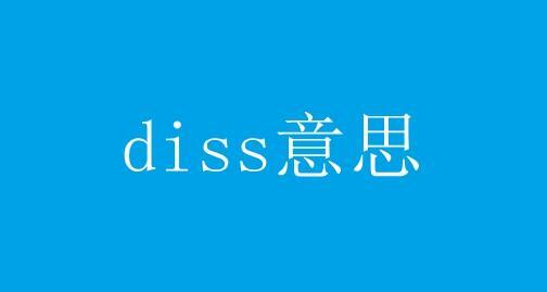 diss是什么意思 _diss的含义
