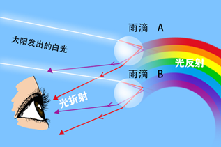 彩虹为什么是弧形_有关彩虹的问题解答