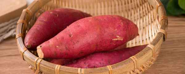 红薯和紫薯哪个热量低_红薯和紫薯的热量和功效