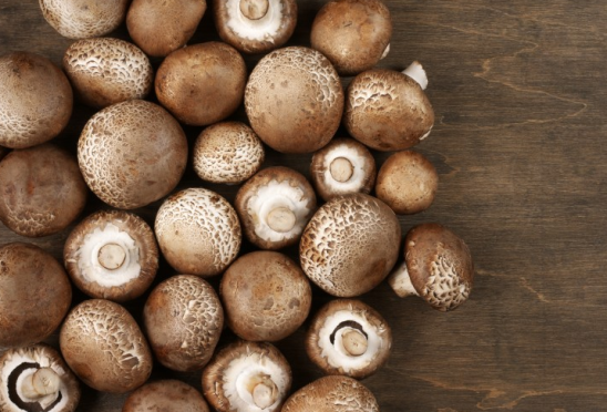 新鲜蘑菇怎么做好吃_新鲜蘑菇的做法教程