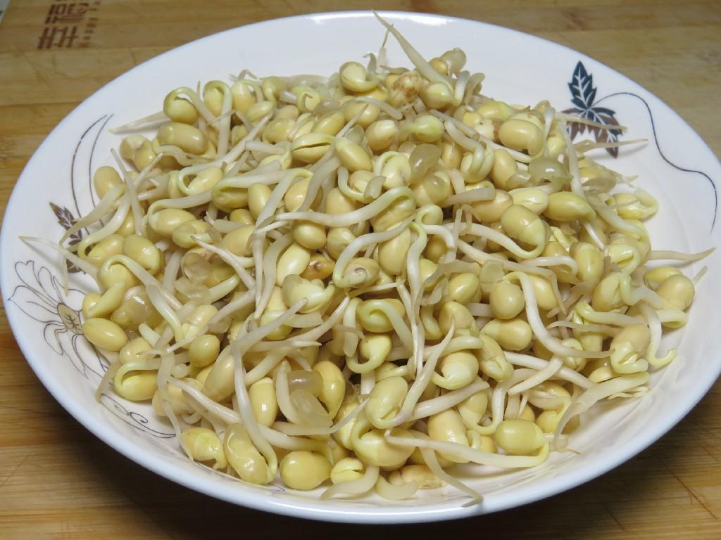 黄豆芽怎么做好吃_黄豆芽的做法步骤