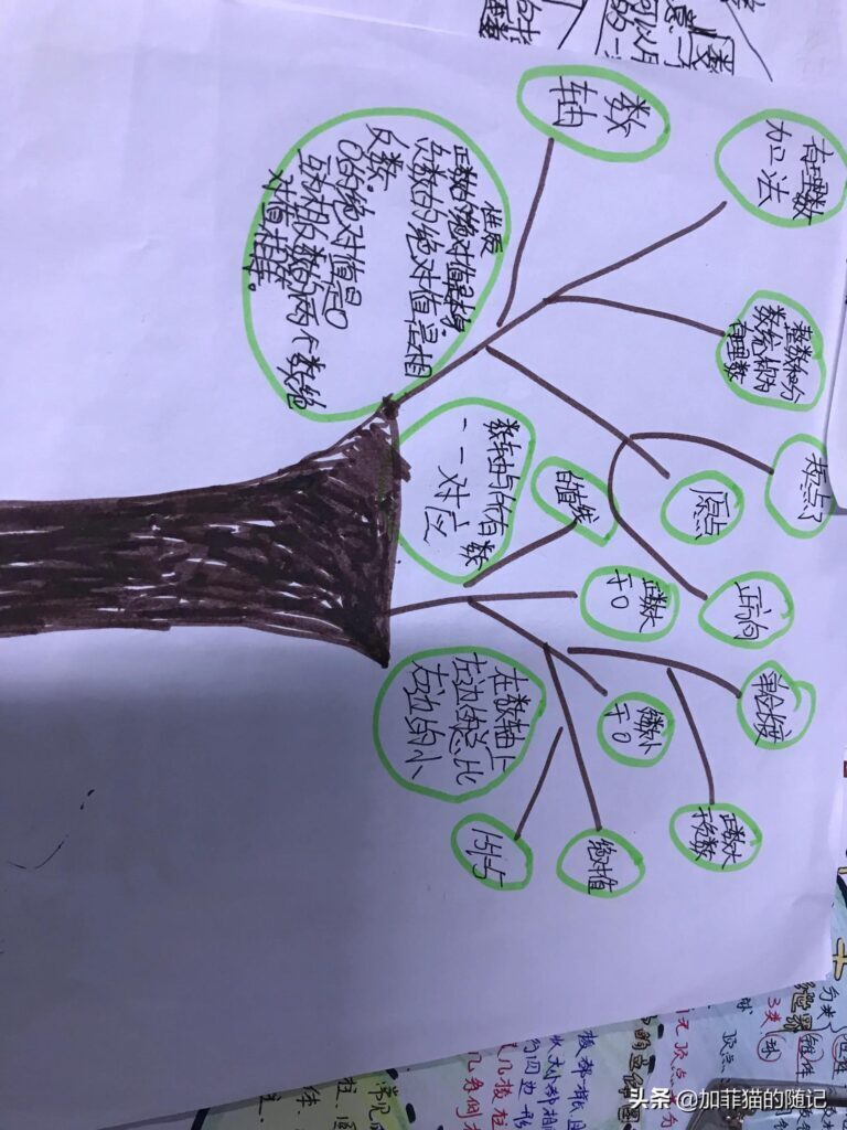 知识树怎么画_知识树的绘画教程