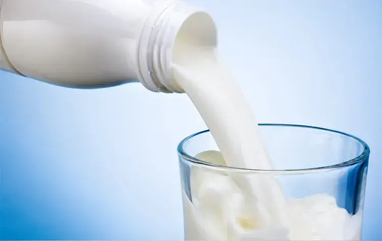 纯牛奶是全脂牛奶吗_牛奶的分类和营养价值