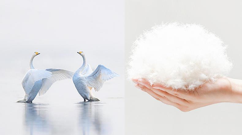 羊毛被和羽绒被哪个好_羊毛被和羽绒被的区别