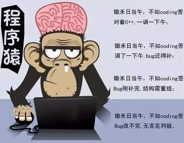 程序猿是什么意思_程序猿的日常生活