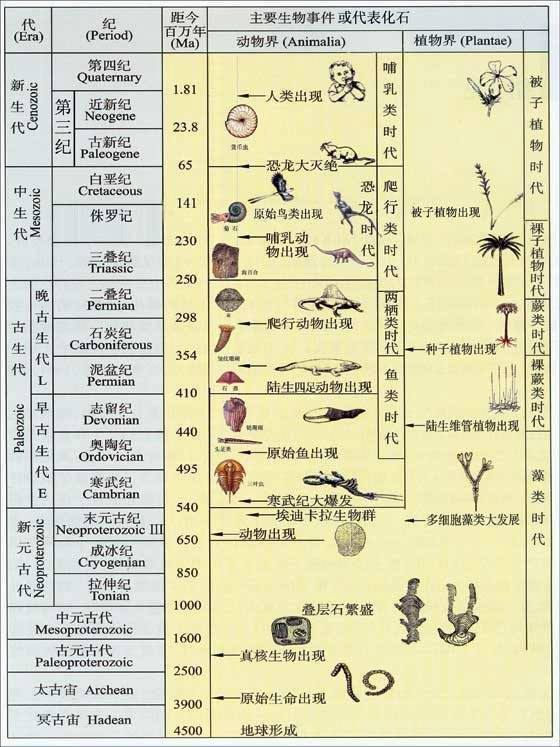 地质年代是如何划分的_地质年代的划分和演变