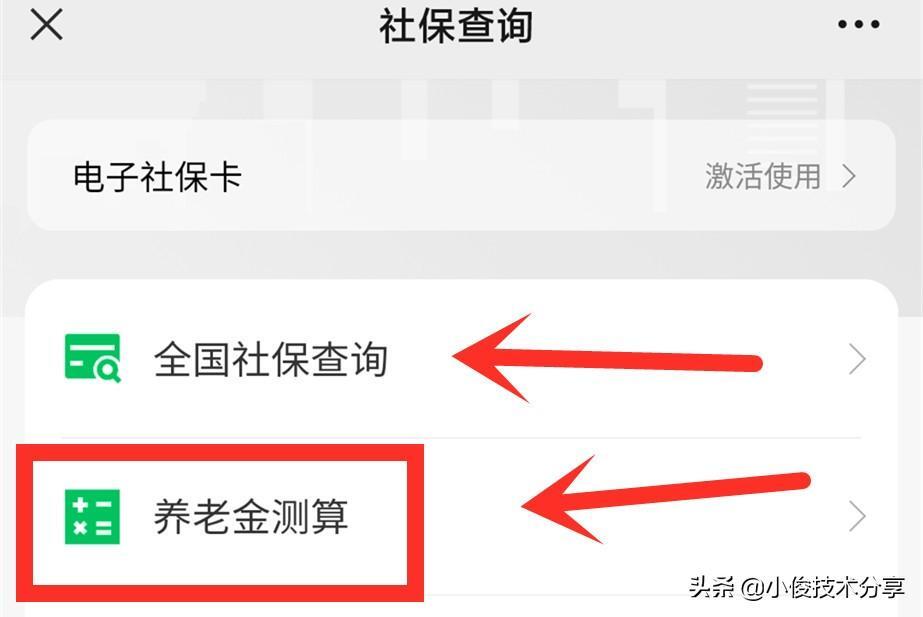 养老保险怎么查_养老保险的查询方法