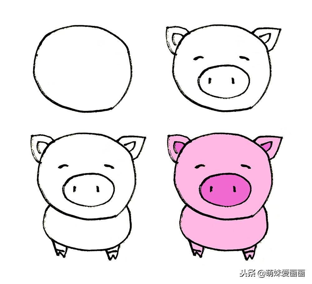 猪怎么画_猪的简笔画教程