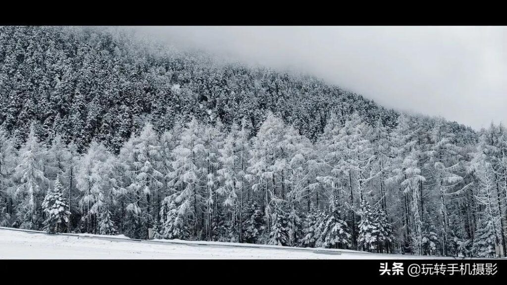 怎样给照片加白边_照片加白边的操作步骤