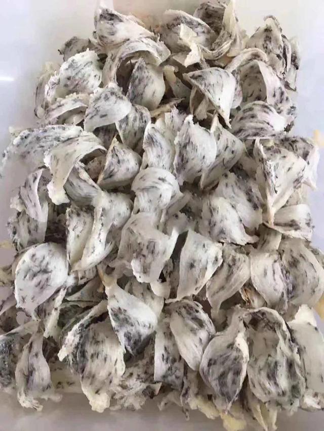 燕窝是怎么样形成的_燕窝的形成和成分