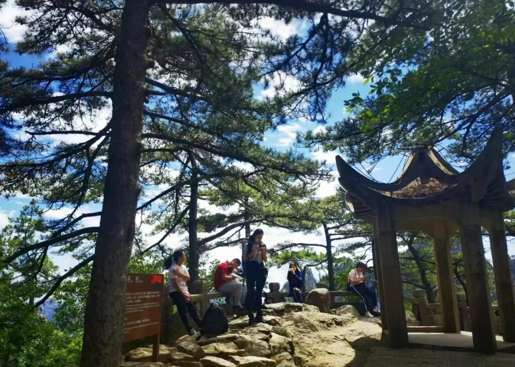 陈陈相因什么意思_陈陈相因的含义及出处