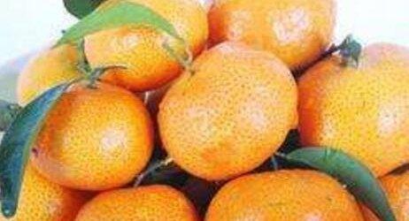 吃橘子有什么好处_橘子的好处和功效