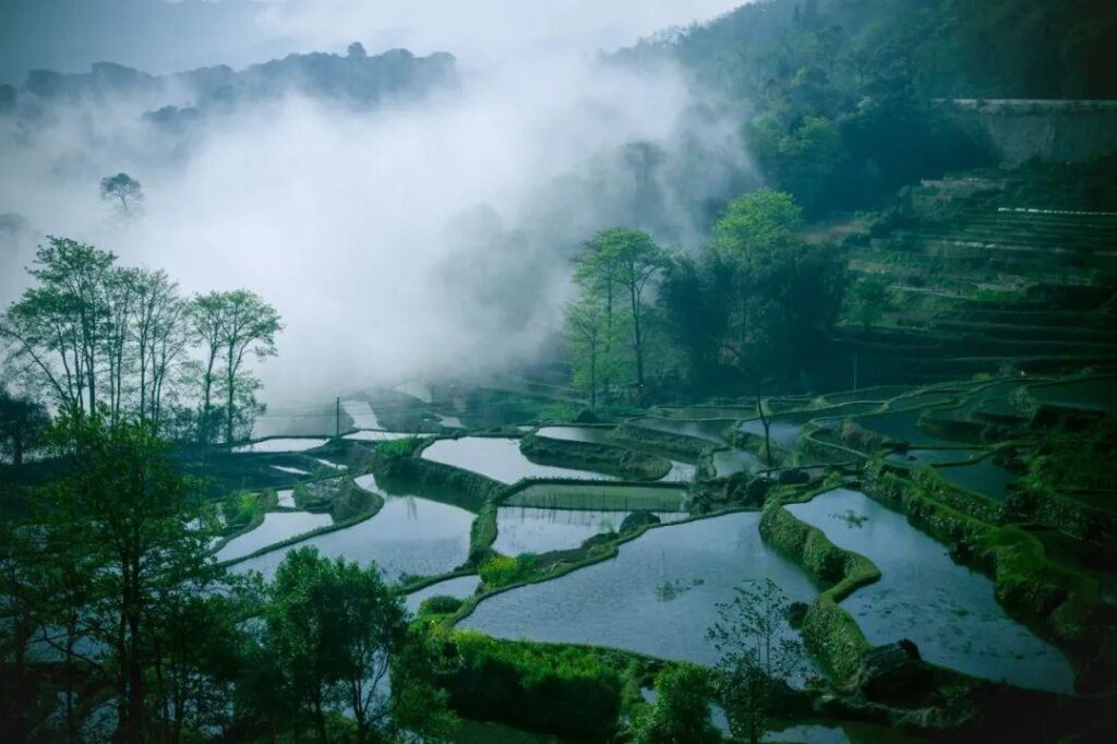 有关思乡的古诗有哪些_有关思乡的经典古诗大全