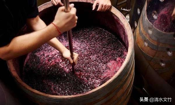 葡萄酒怎么酿造_葡萄酒的酿造方法