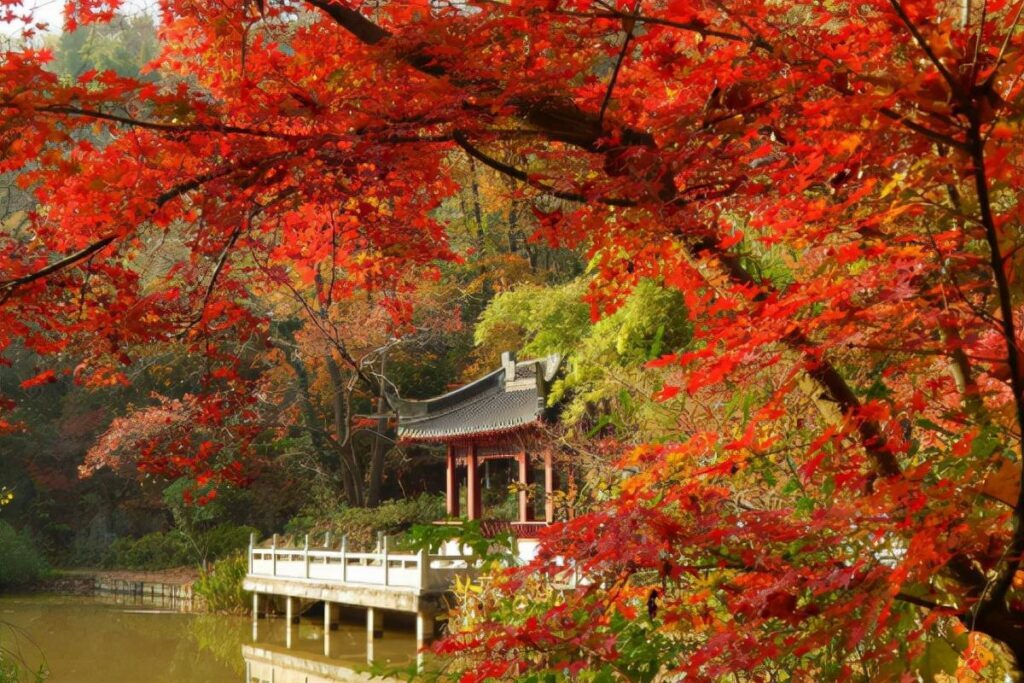 香山在哪里个城市_香山的位置和景色