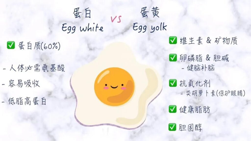 每天吃一个鸡蛋有什么好处_鸡蛋的营养价值