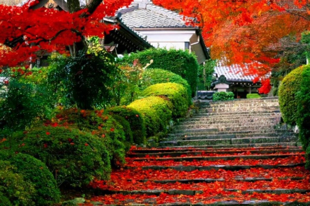 香山在哪里个城市_香山的位置和景色