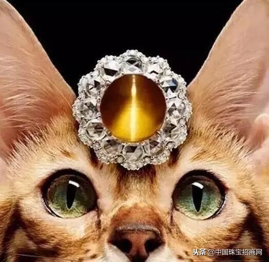猫眼石是什么_猫眼石的特征和辨别方法