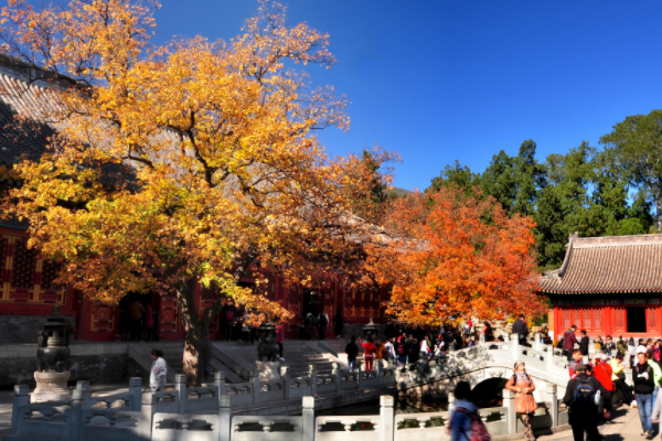 香山在哪里个城市_香山的位置和景色