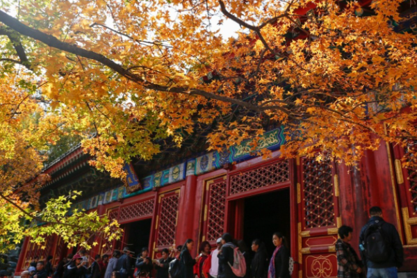 香山在哪里个城市_香山的位置和景色