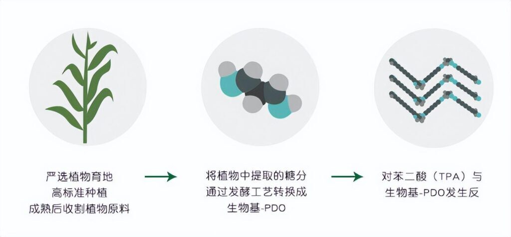 什么是植物羽绒_植物羽绒的特点