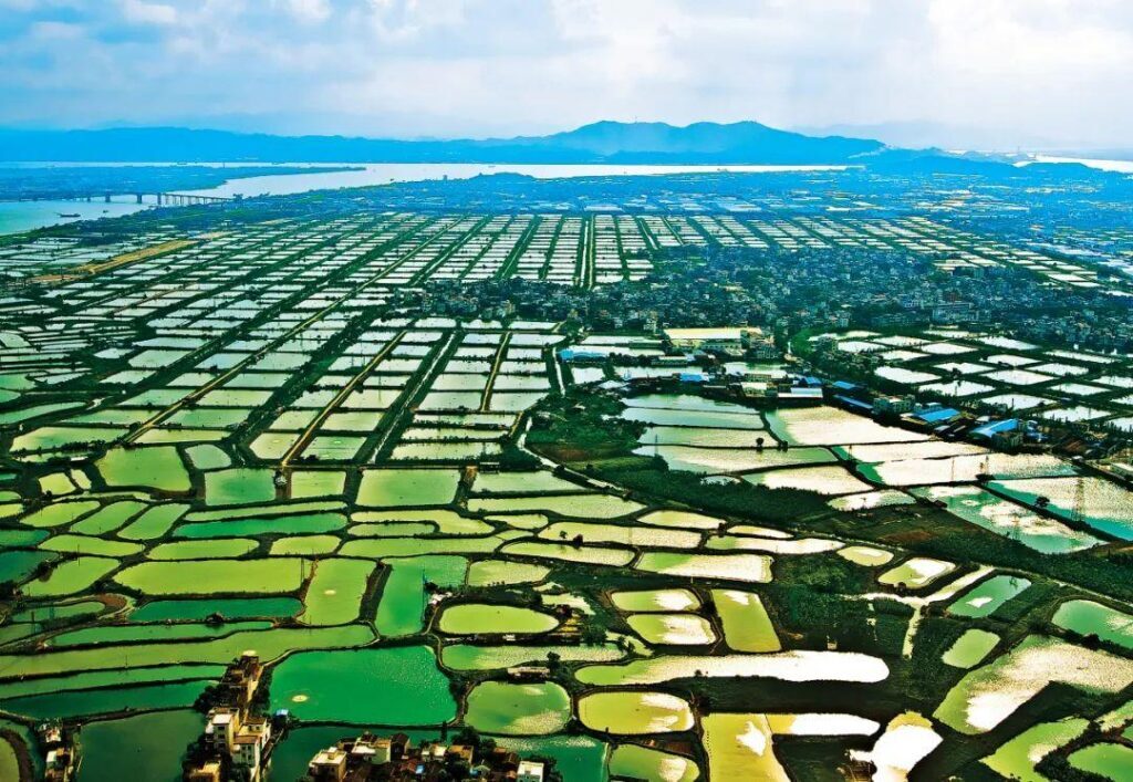珠江有几个入海口_珠江入海口的形成和影响