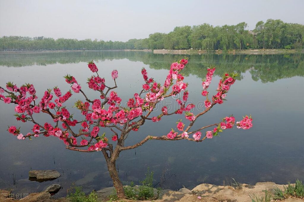 汪伦是什么人_赠汪伦的释义和写作背景