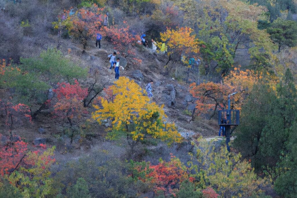 香山在哪里个城市_香山的位置和景色