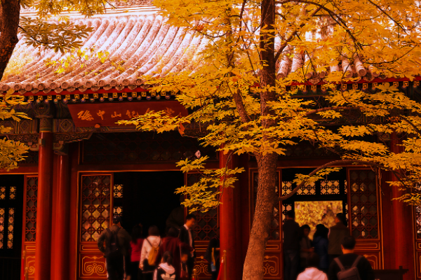 香山在哪里个城市_香山的位置和景色