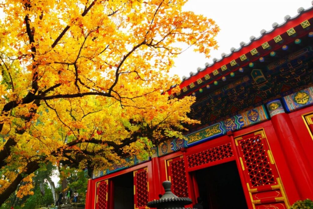 香山在哪里个城市_香山的位置和景色