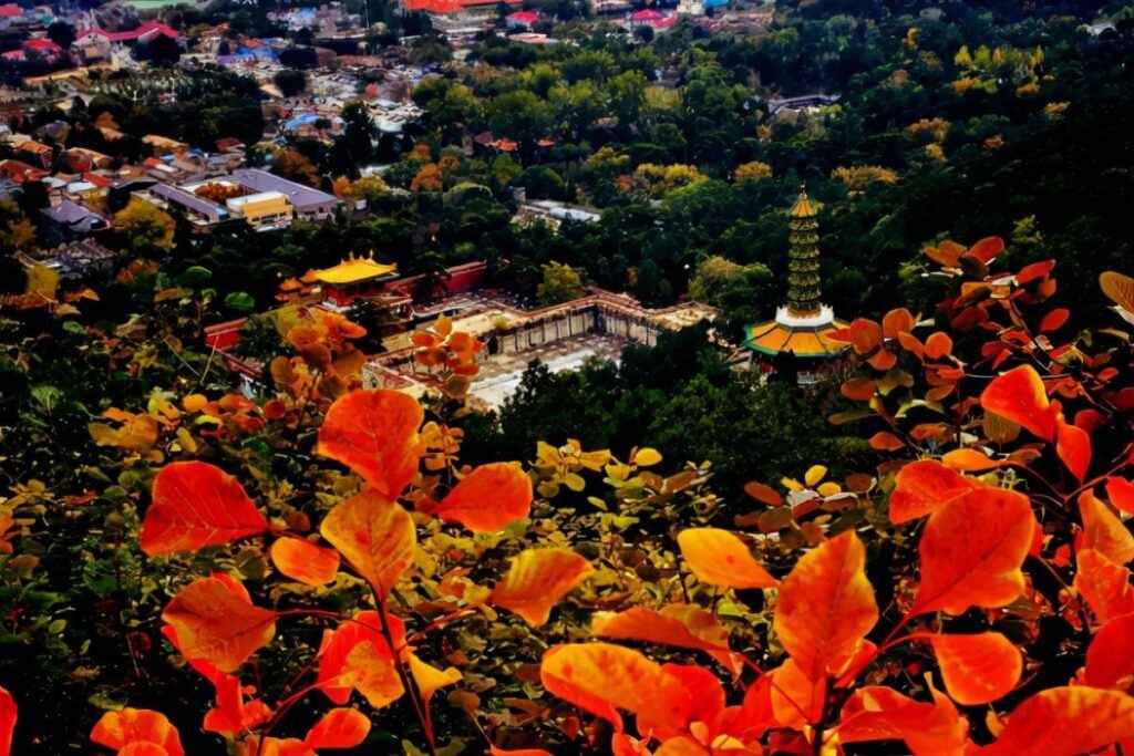 香山在哪里个城市_香山的位置和景色