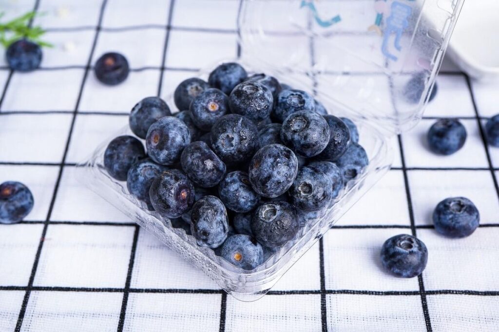 蓝莓的白霜需要洗吗_蓝莓的清洗方法