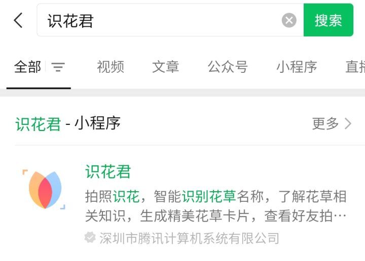 植物识别APP哪个好_植物识别APP推荐
