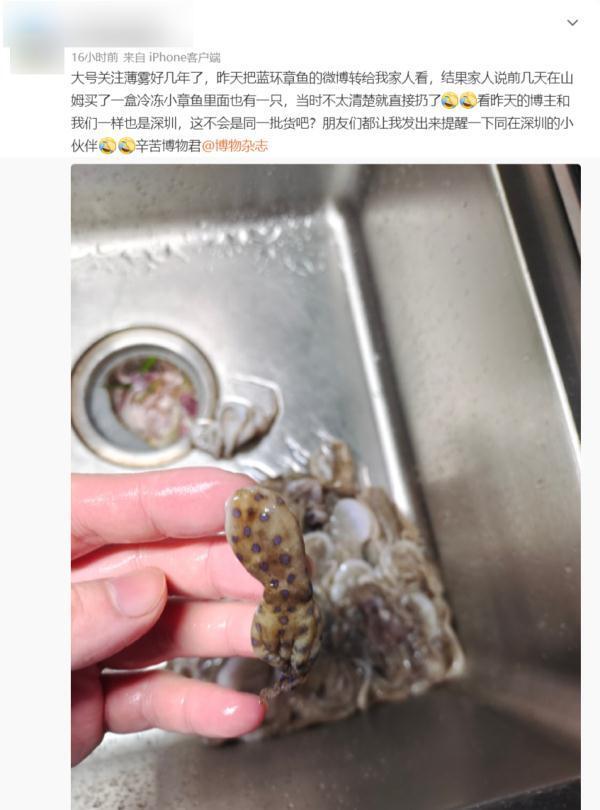 蓝环章鱼怎么回事_山姆回应蓝环章鱼事件