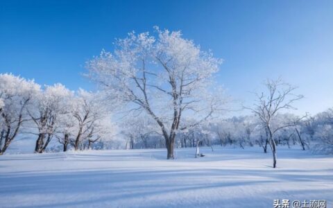 立冬是什么意思_立冬节气的特点