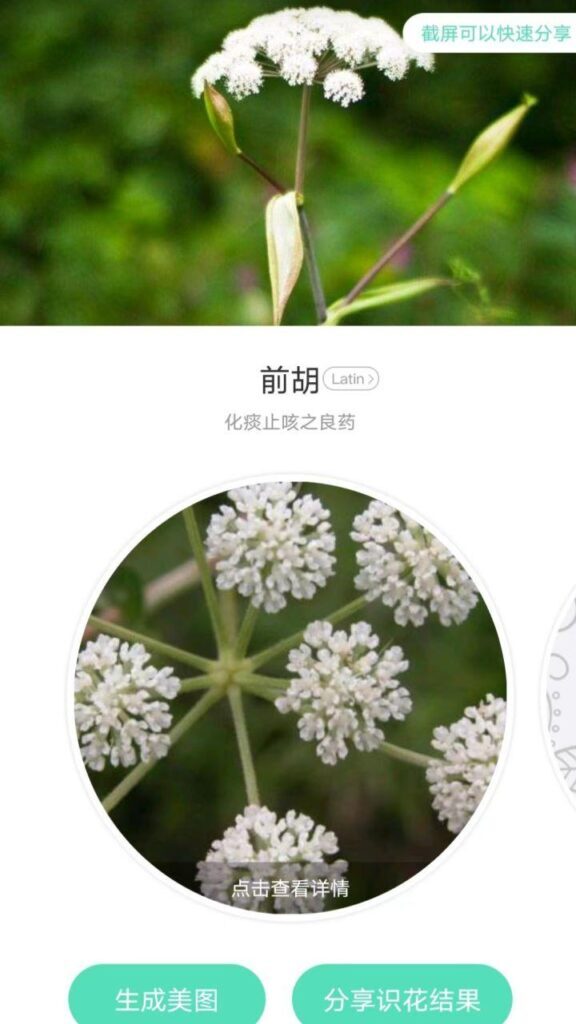 植物识别APP哪个好_植物识别APP推荐